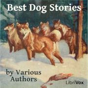 Las mejores historias de perros