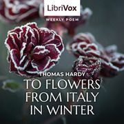 A las flores de Italia en invierno